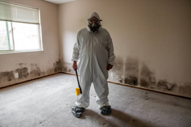 Best Mold Removal Process  in Sullivan City, TX